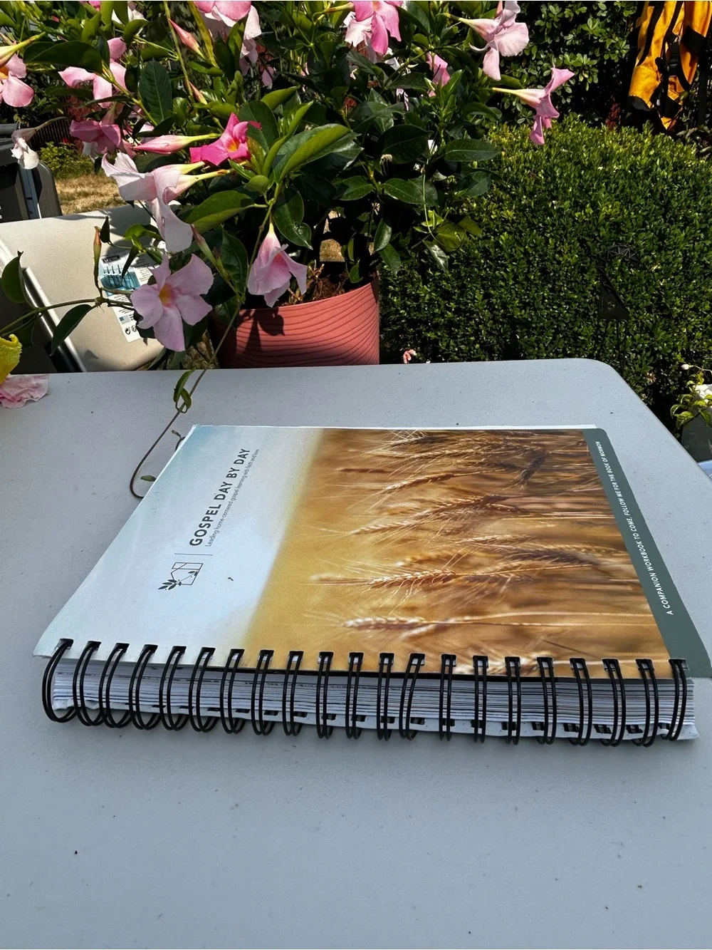 Gospel Day by Day Spiral Workbook - Wheat Cover (White, Tan)